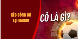 keo-bong-co-max88