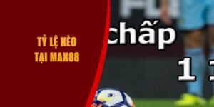 ty-le-keo-max88