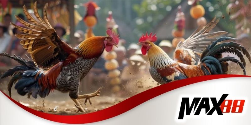 Max88 cung cấp nền tảng cá cược phong phú và tính giải trí cao 